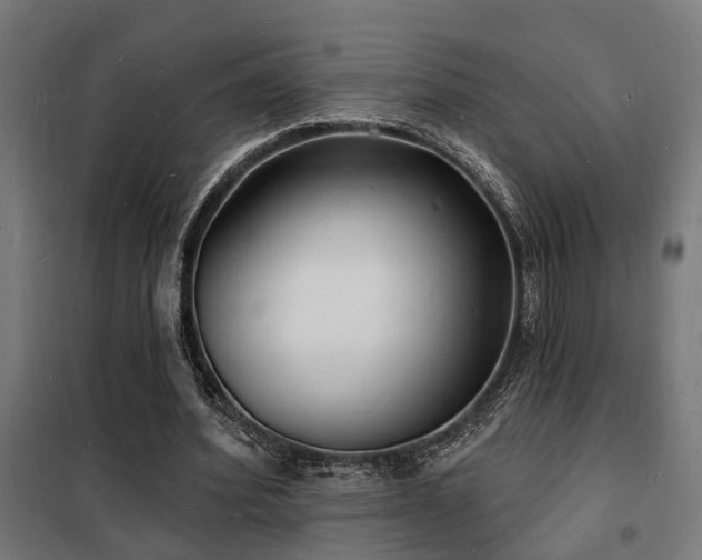 X0000102220580200807251213