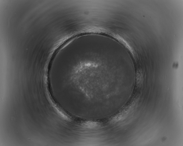 X0000102220581200807251213