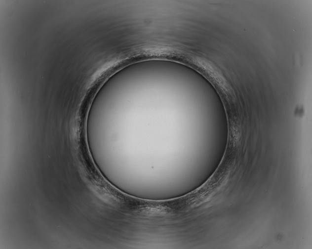 X0000102220583200807251212