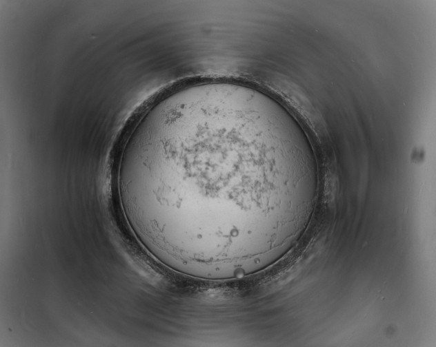 X0000102220584200807251212