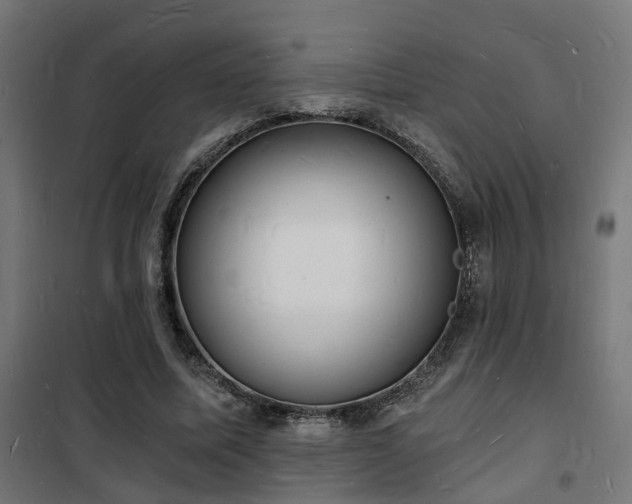 X0000102220587200807251212