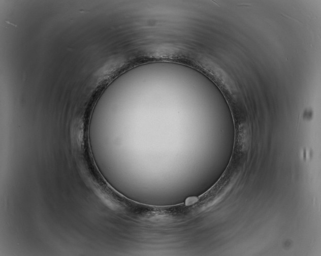 X0000102220589200807251212