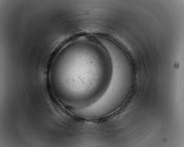 X0000102220592200807251212