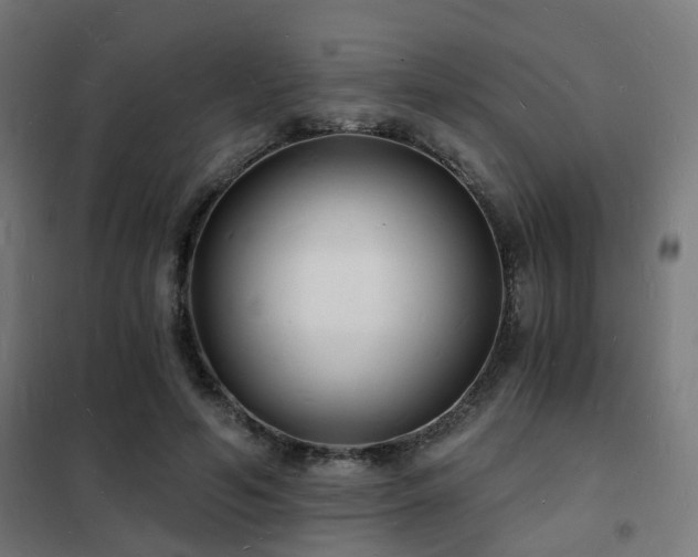 X0000102220594200807251212