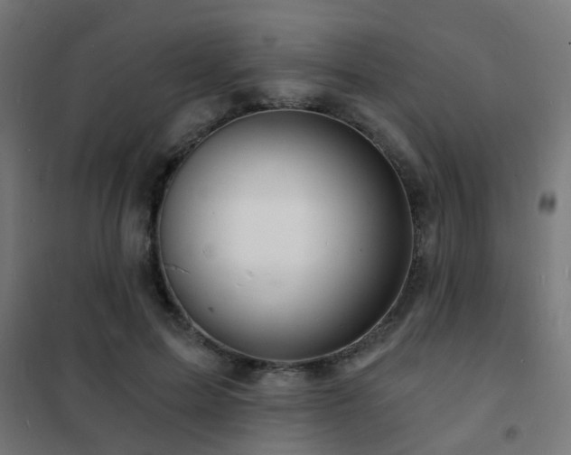 X0000102220599200807251212