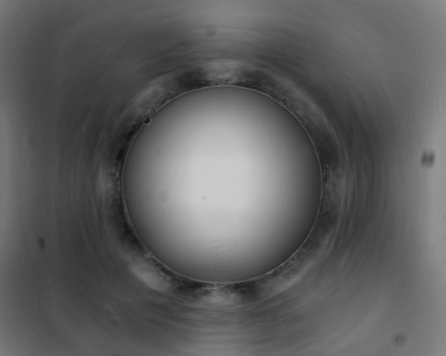 X0000102220601200807251212