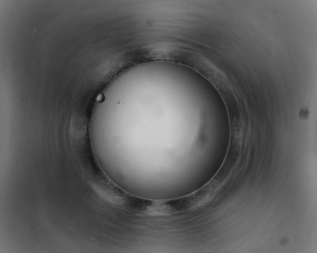 X0000102220603200807251212