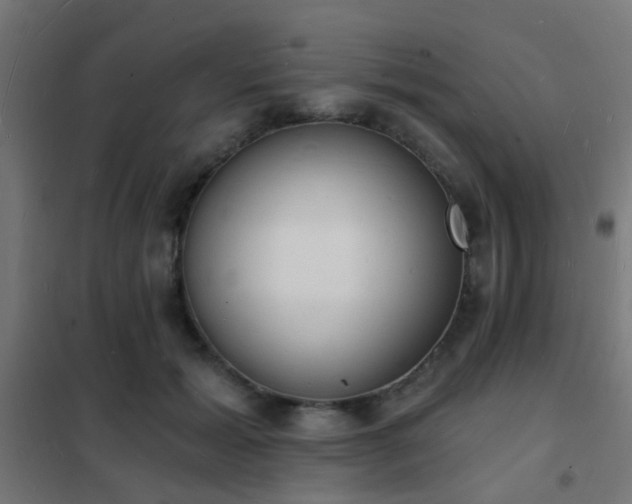 X0000102220605200807251212