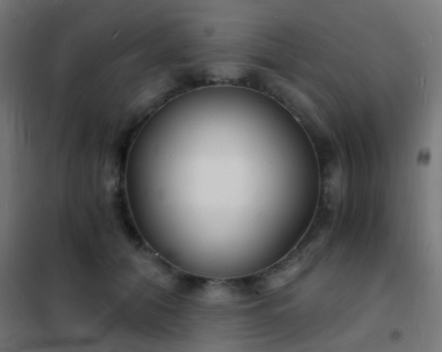 X0000102220608200807251212