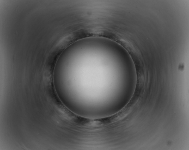 X0000102220609200807251212