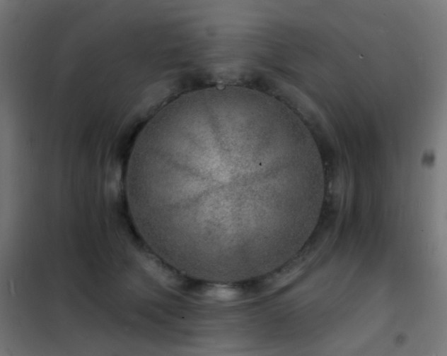 X0000102220610200807251212