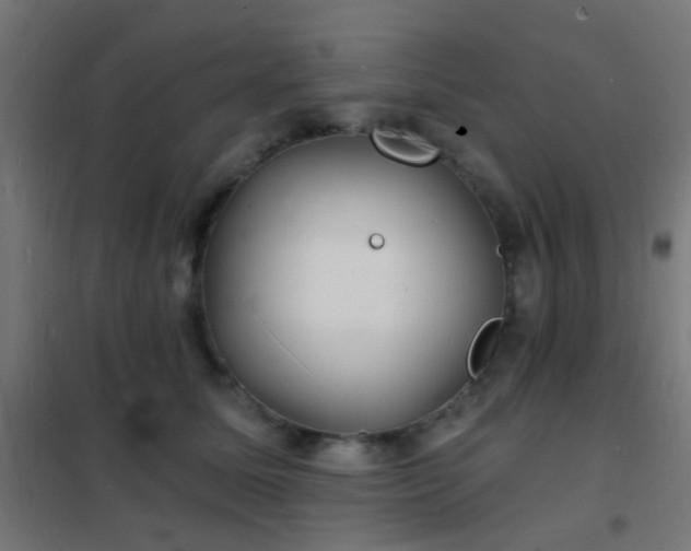 X0000102220611200807251212