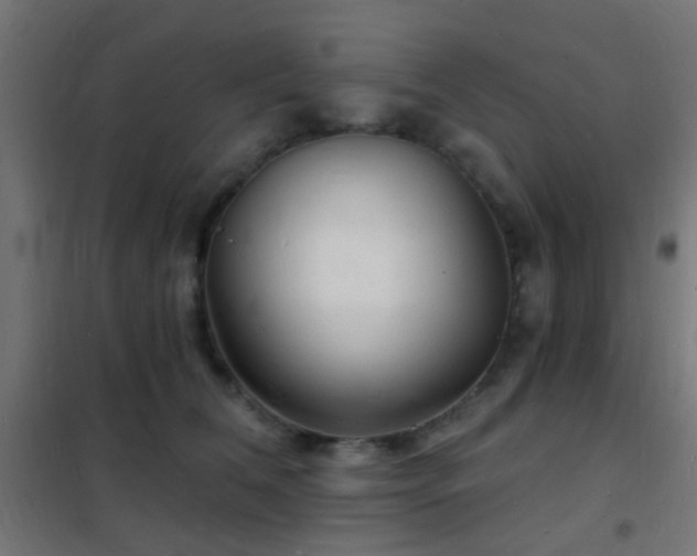 X0000102220612200807251212