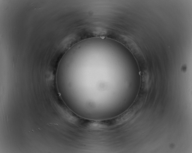 X0000102220614200807251212