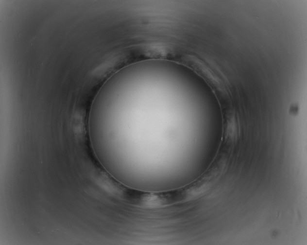 X0000102220616200807251212