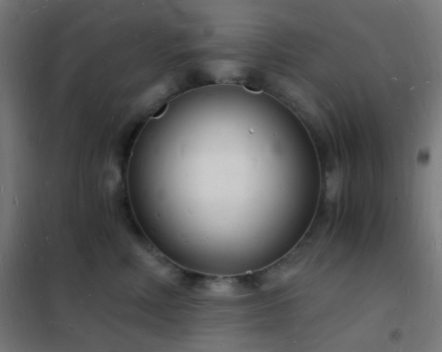 X0000102220618200807251212