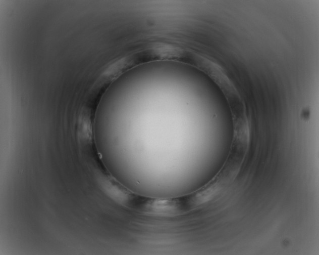 X0000102220622200807251212