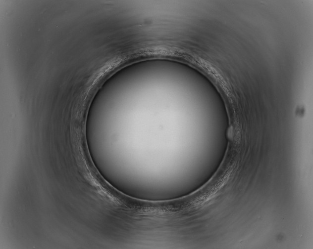 X0000102220625200807251211