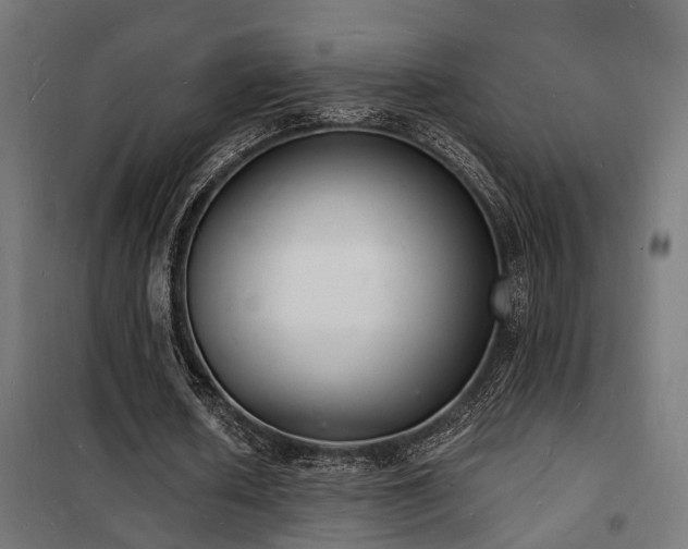 X0000102220626200807251211