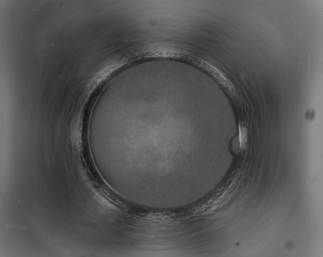 X0000102220627200807251211