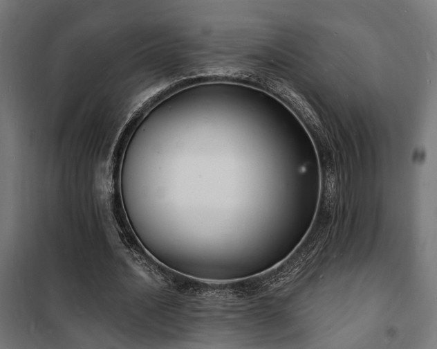 X0000102220628200807251211