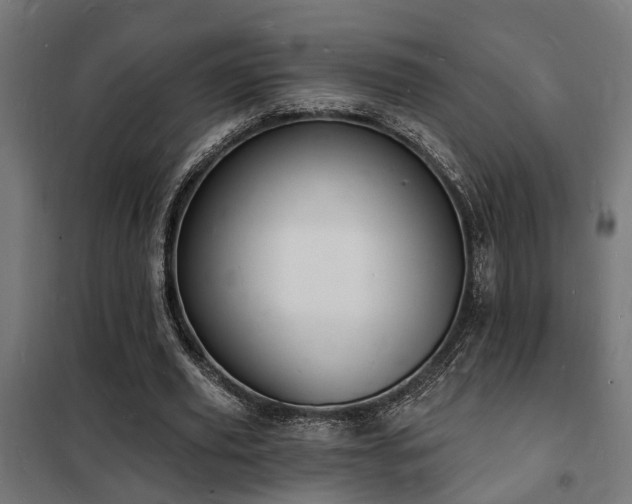 X0000102220629200807251211