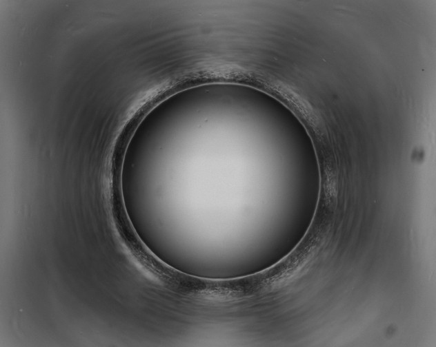 X0000102220630200807251211