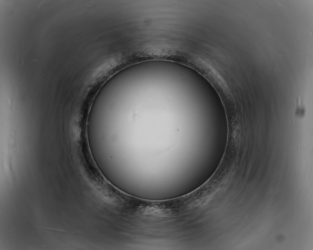 X0000102220635200807251211