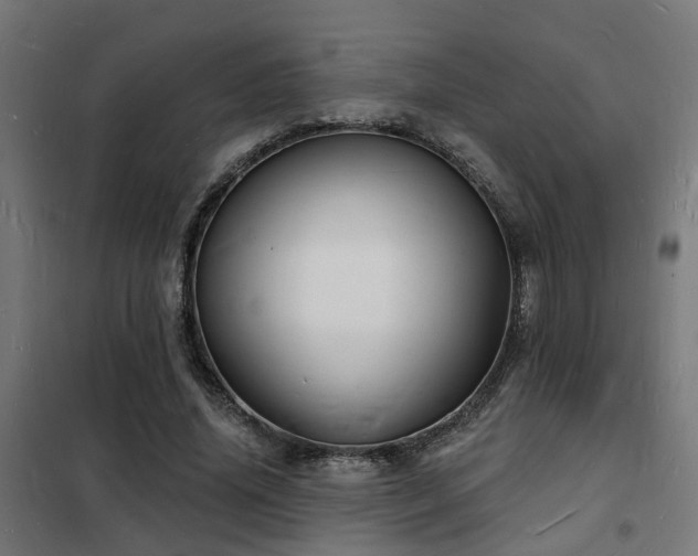 X0000102220636200807251211