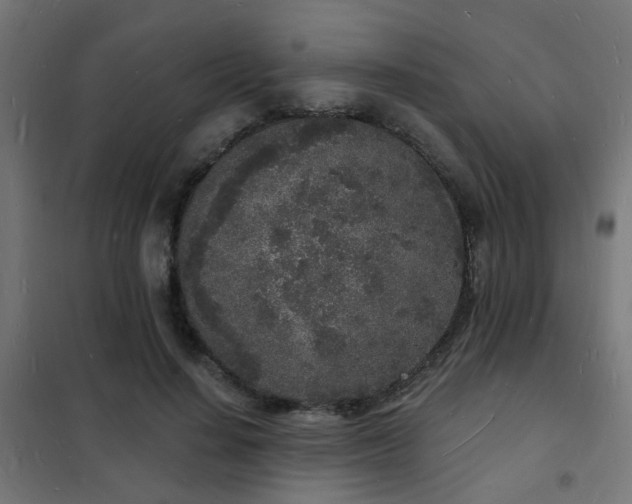 X0000102220644200807251211