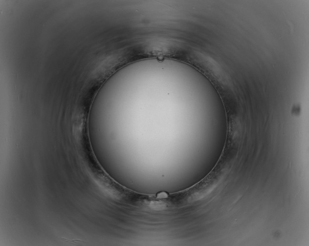 X0000102220645200807251211