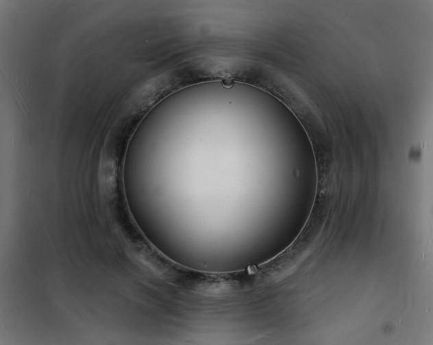 X0000102220646200807251211