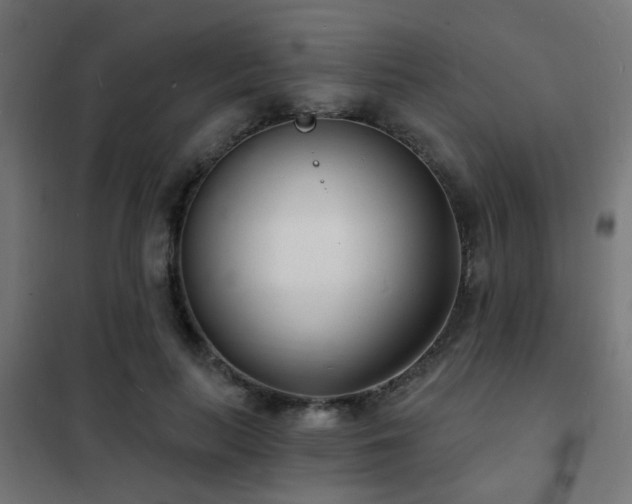 X0000102220647200807251212