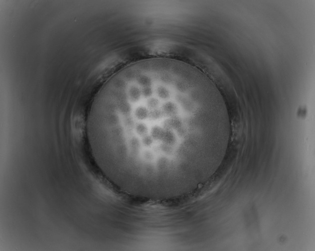 X0000102220648200807251212