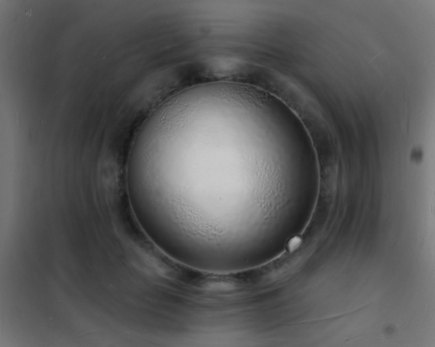 X0000102220653200807251212