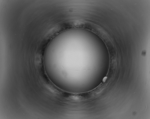 X0000102220654200807251212