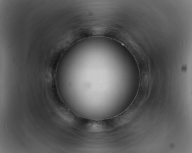 X0000102220655200807251212