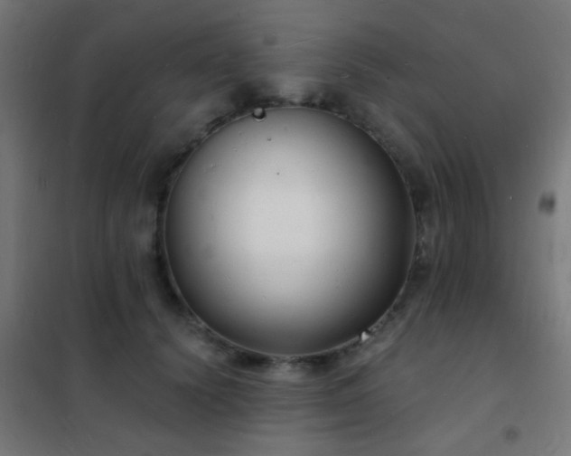 X0000102220656200807251212