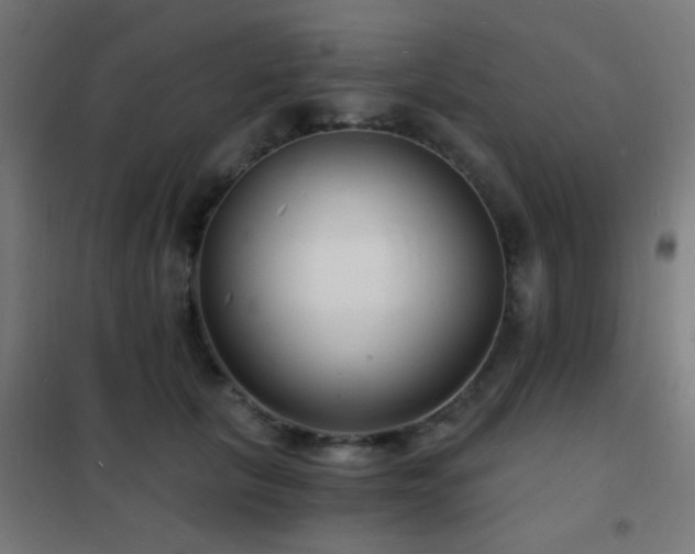 X0000102220657200807251212