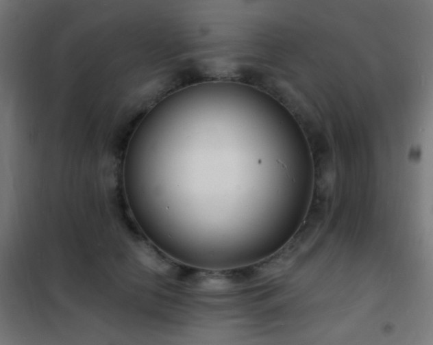 X0000102220658200807251212