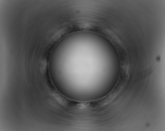 X0000102220660200807251212