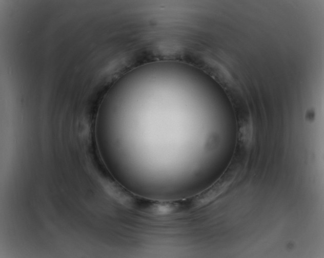 X0000102220662200807251212