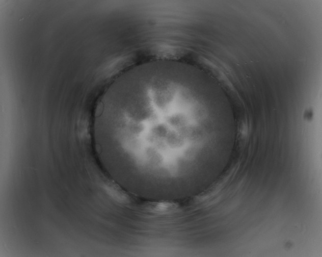 X0000102220663200807251212