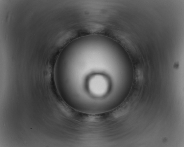 X0000102220664200807251212