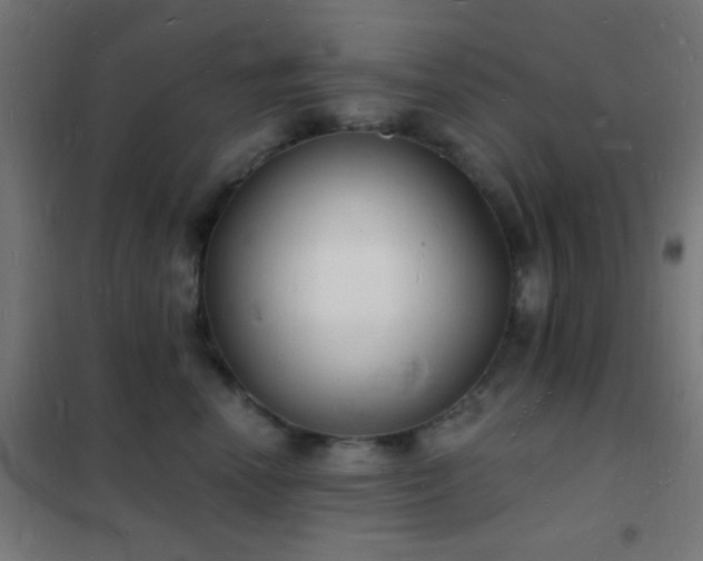 X0000102220666200807251212