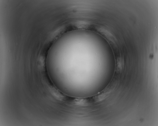 X0000102220667200807251212