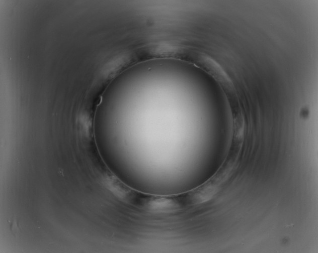 X0000102220669200807251212