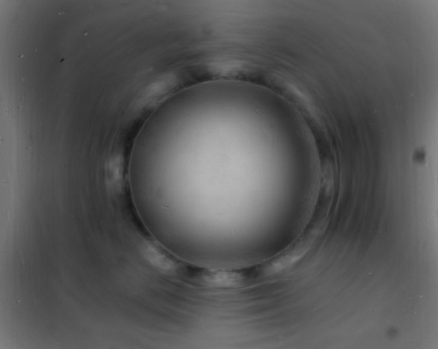 X0000102220670200807251212