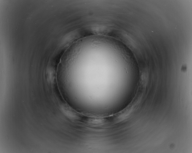 X0000102220671200807251212