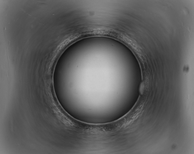 X0000102220673200807251211